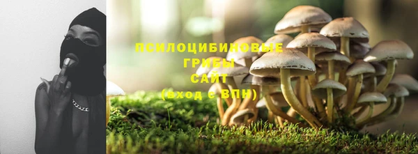дживик Алексин