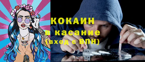 дживик Алексин